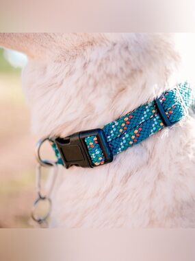 NWT Wilderdog Reflective Adj Rope Dog Collar, Size SM (3 colors) available
